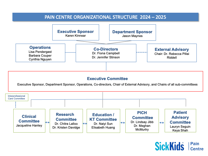 Pain Centre organizational structure chart. Accessible PDF provided below.
