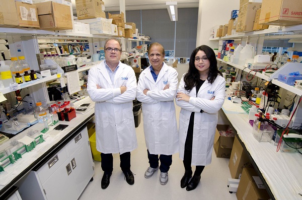 Three scientists stand together in a research lab wearing lab coats.