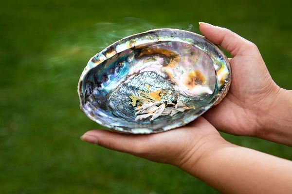 Hands holding an abalone shell for smudging.