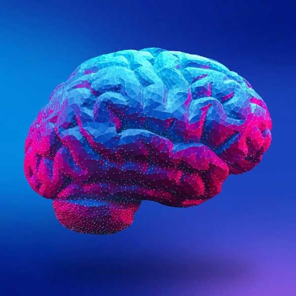 Graphic representation of a brain.