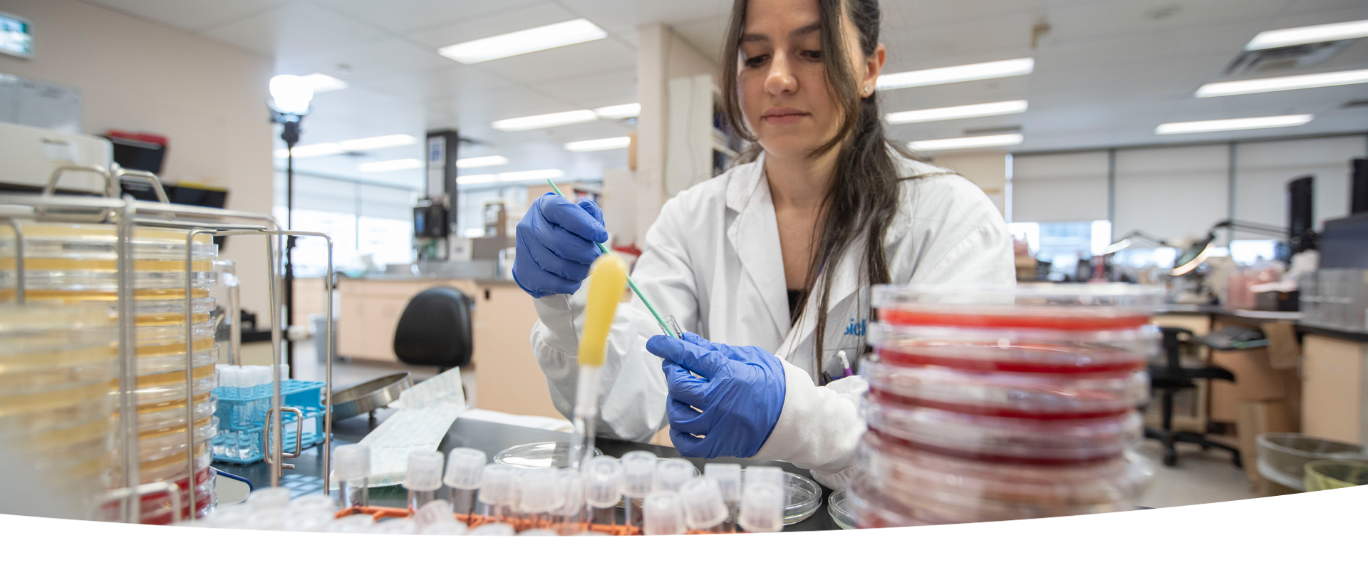 A lab professional wearing a lab coat and blue gloves at a bench examining a sample in a glass tube. In the foreground, there are stacks of petri dishes and glass tubes.