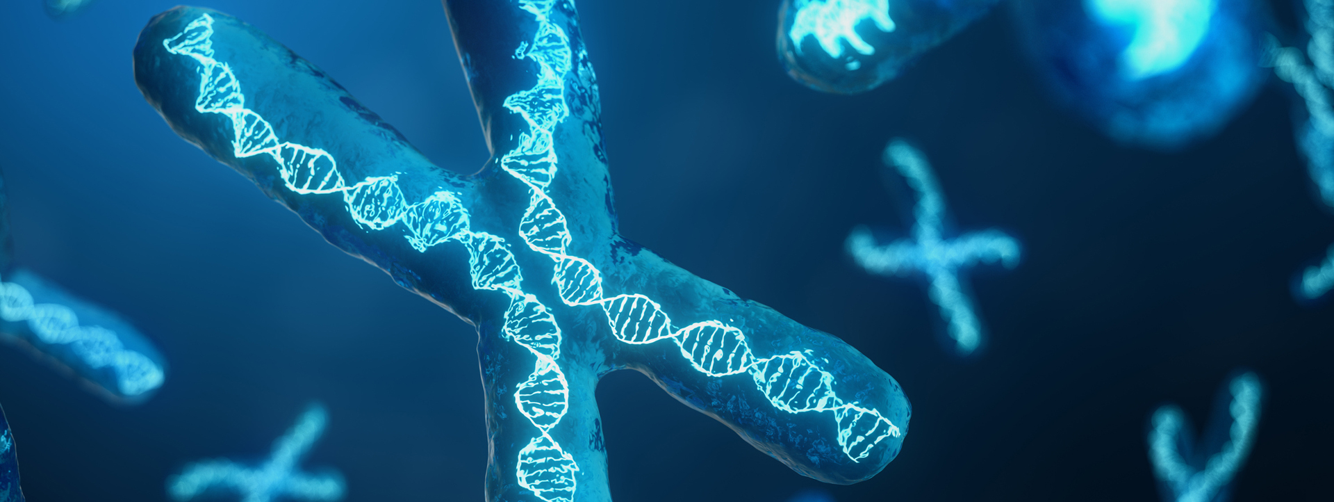 Rendering of DNA helices inside chromosomes