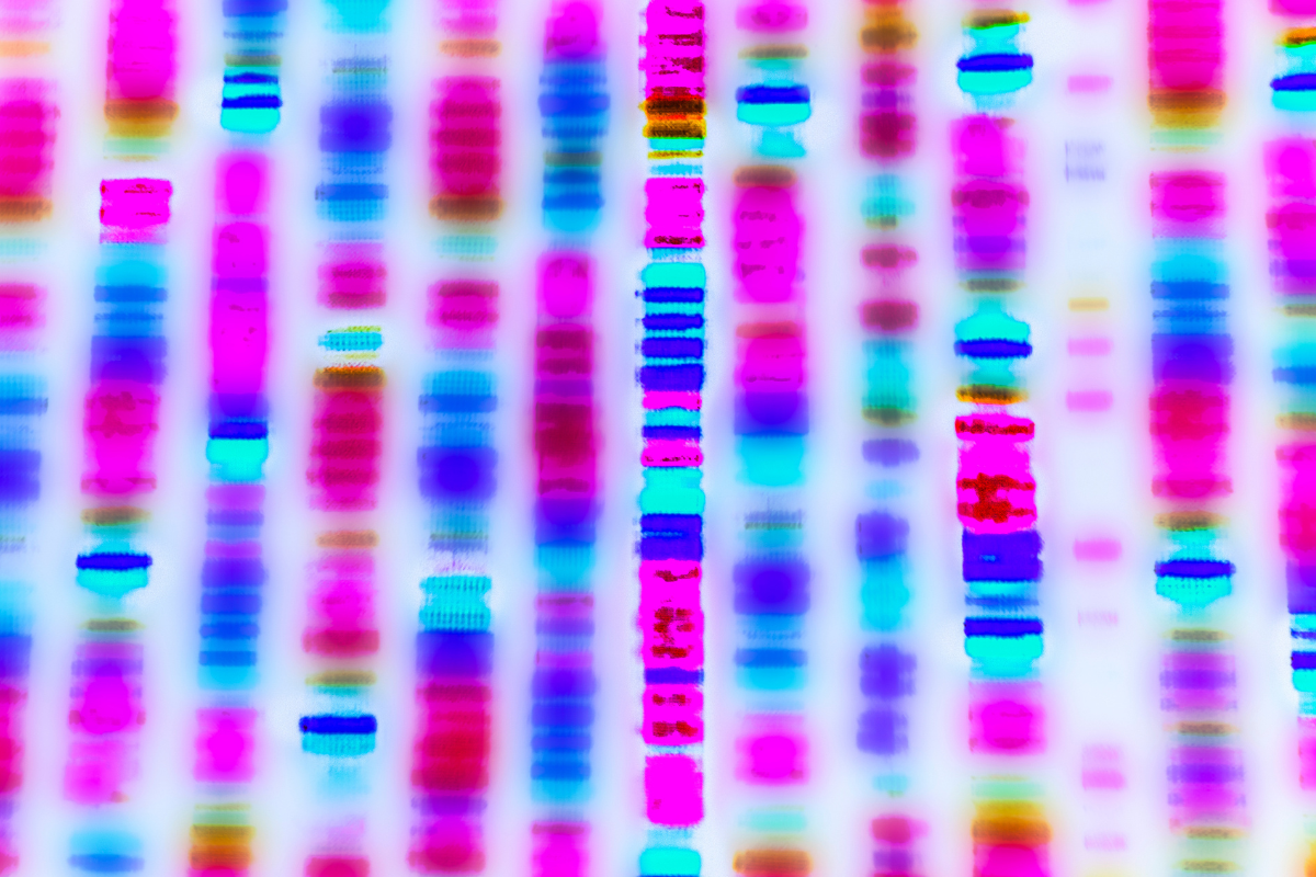 Colourful patterns representing DNA sequences