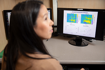 Dr. Julie Sato working on a computer.
