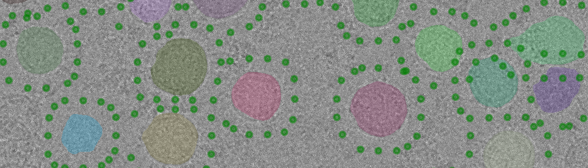 Green, purple and blue circles are surrounded by smaller green circles against a grey background.