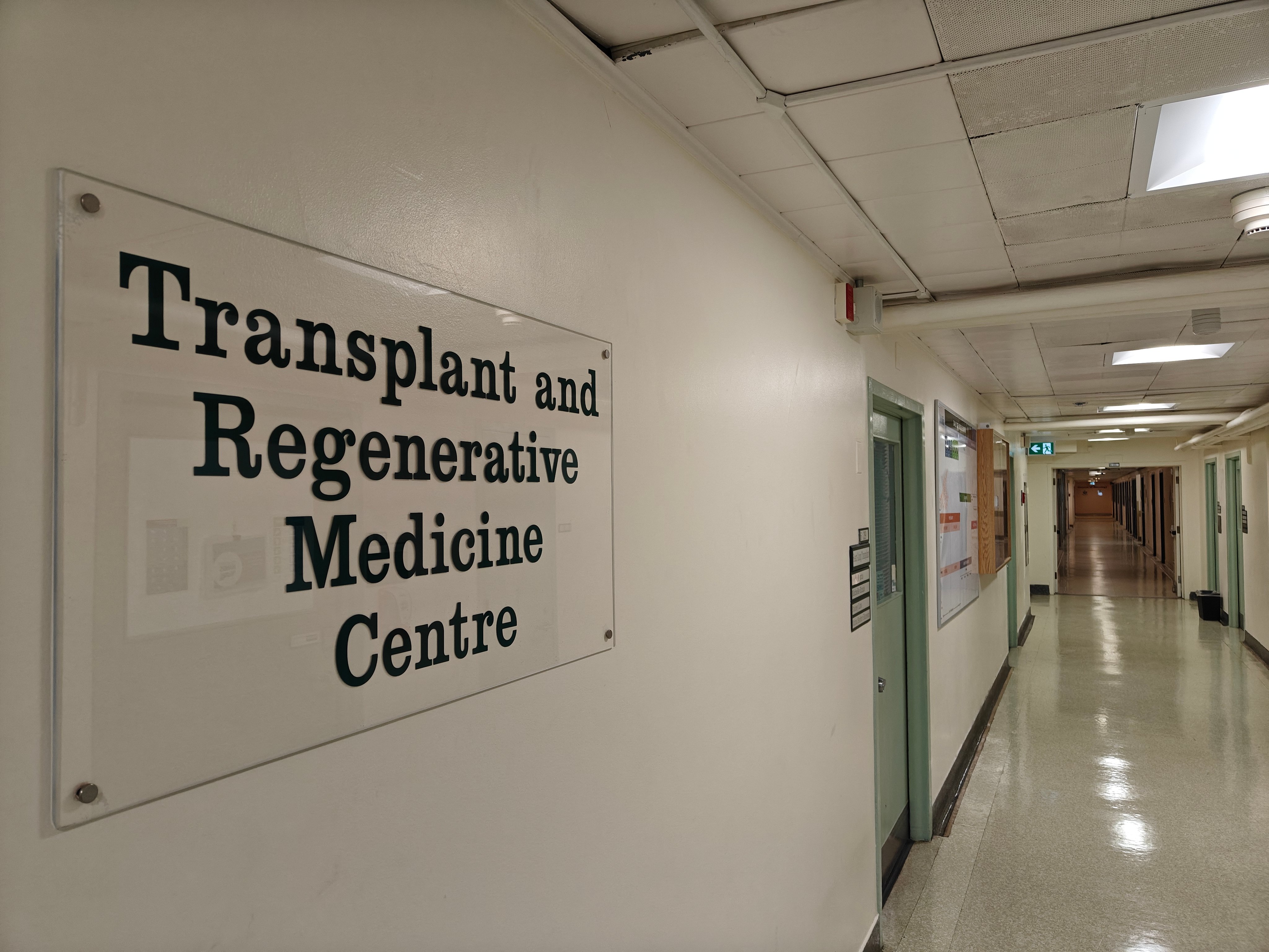 A sign that reads Transplant and Regenerative Medicine Centre on the wall of a hospital hallway.