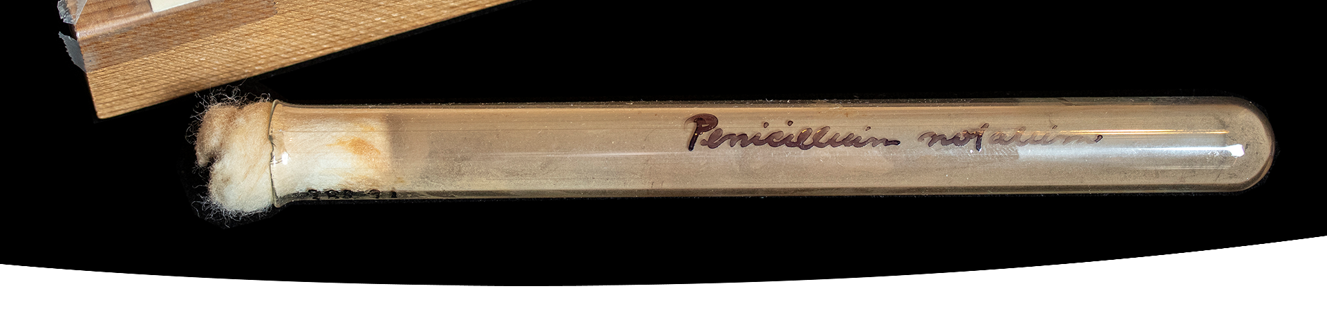 A close-up of a vial labelled Penicillium notatum